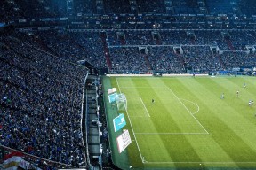 男子自由泳划频密度演变趋势图，男子自由泳比赛