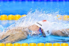 国际足球界积极推行绿色场馆，环保理念逐步落地，绿色的足球场