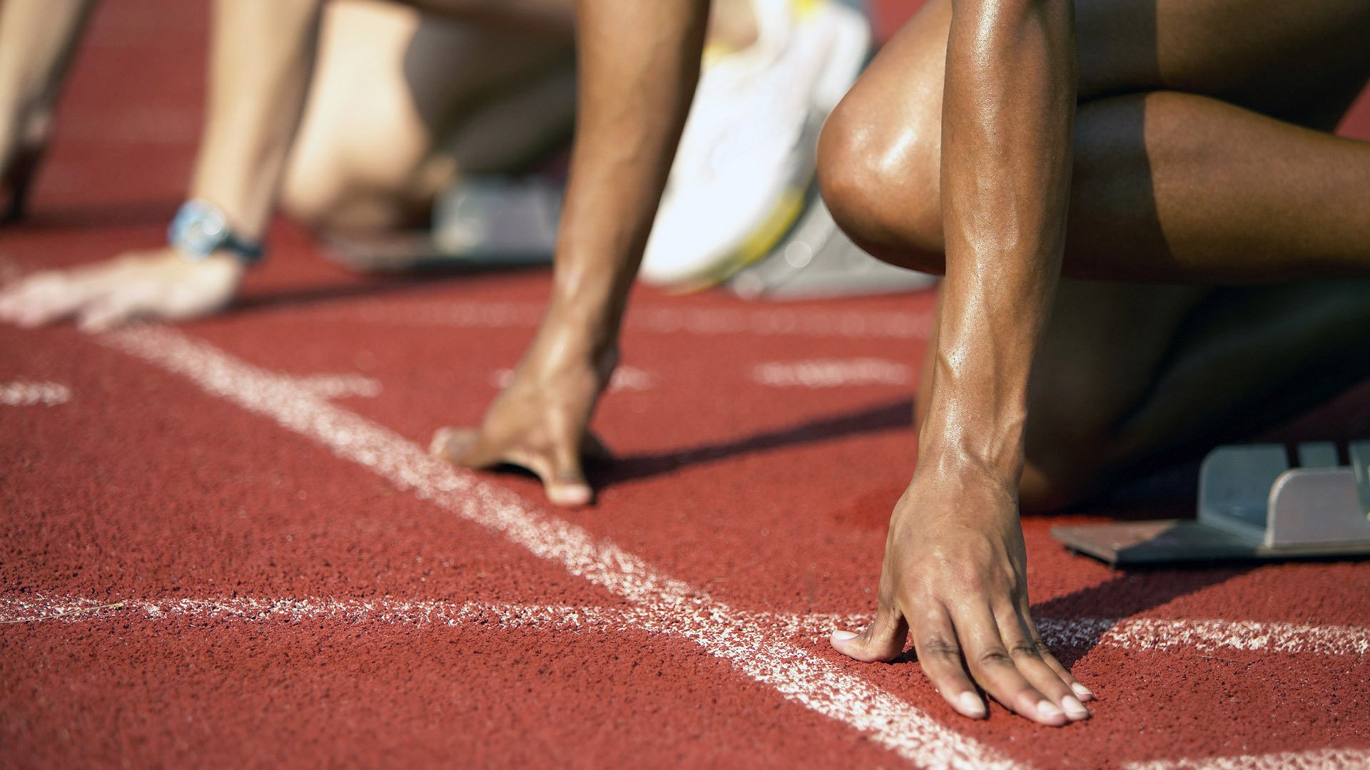 塞尔维亚女篮在欧洲锦标赛中力争夺冠，展现团队实力，塞尔维亚女篮奥运表现